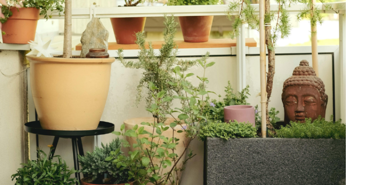 For the Love of Gardening?