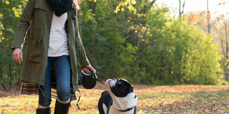 Autumn’s Gentle Call: