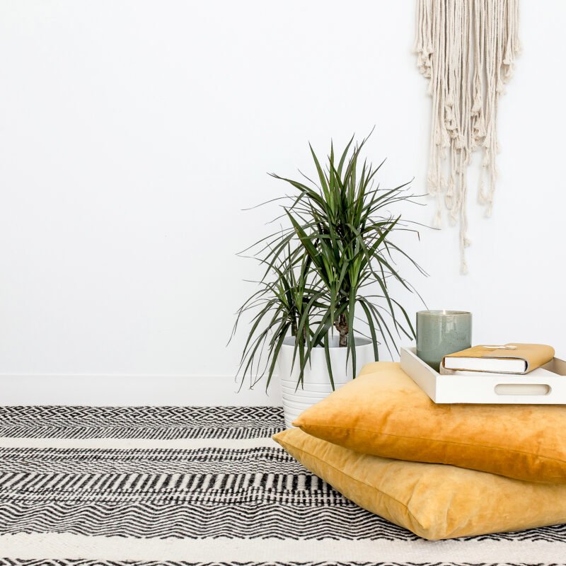 The Architecture of Stillness