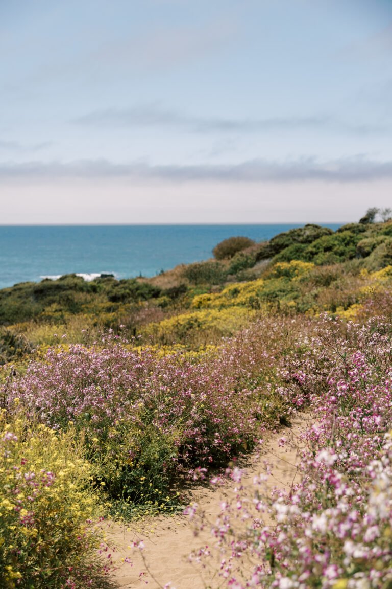 The Art of Slowing Down