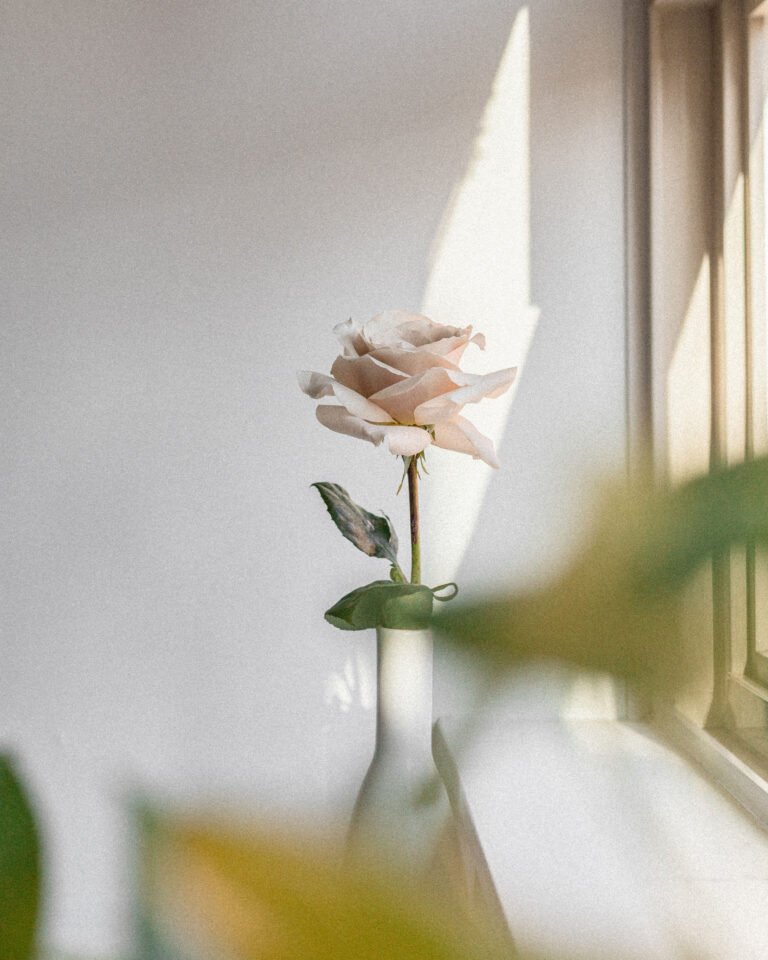 Planting the  Seed: An Invitation to Slow Harvest