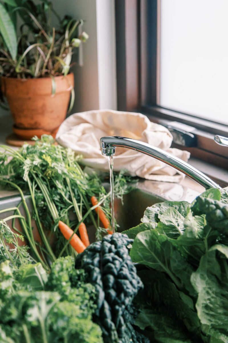 Rooted Strength | Week Three